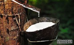 橡膠上漲仍可期，焦炭期現(xiàn)聯(lián)動，向