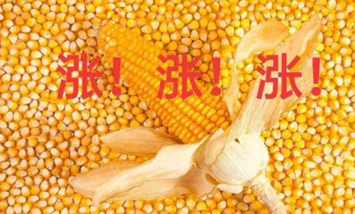 玉米期貨開戶要驗(yàn)資嗎？為何不能買