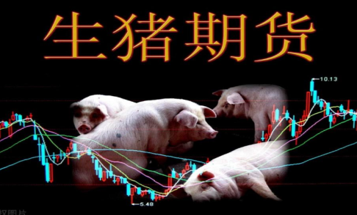 生豬期貨的作用和交易規(guī)則有哪些？
