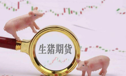生豬期貨未來走勢將會如何？生豬期