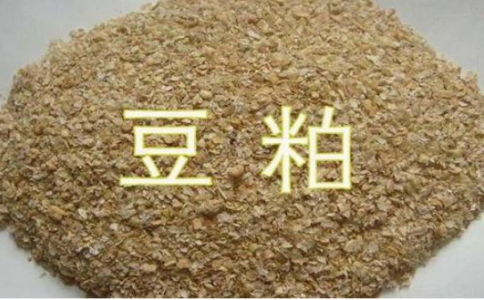 期貨豆粕和菜粕的關聯(lián)性，菜粕豆粕